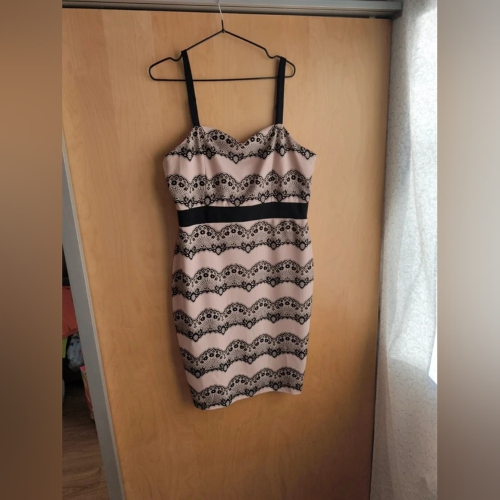 Alison Lace-Print Blush Pink and Black Dress